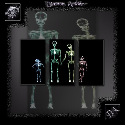 Second Life Marketplace NuTec Family Xray Wall Art